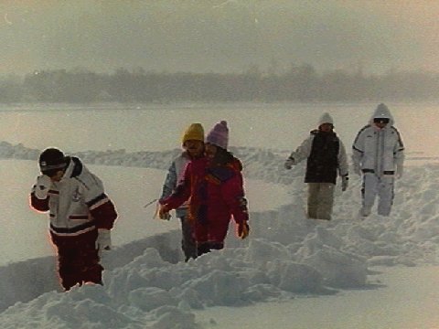 �����T�N