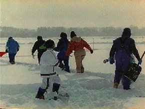 �����T�N