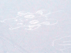 ���{�������Q